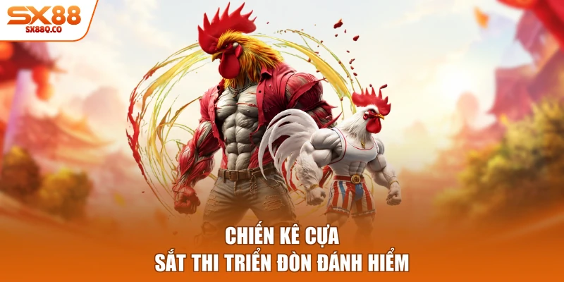 Chiến kê cựa sắt thi triển đòn đánh hiểm