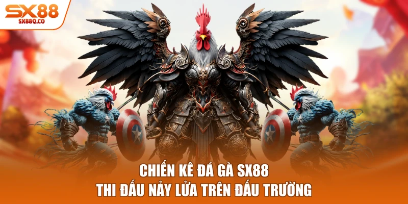 Chiến kê Đá gà SX88 thi đấu nảy lửa trên đấu trường