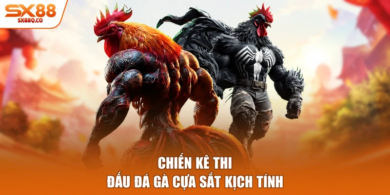 Chiến kê thi đấu đá gà cựa sắt kịch tính